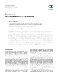 Asexual Reproduction in Holothurians