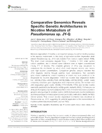Comparative Genomics Reveals Specific Genetic Architectures In