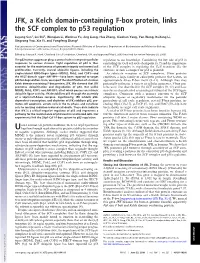 JFK, a Kelch Domain-Containing F-Box Protein, Links the SCF Complex to P53 Regulation