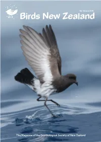 Study of Birds, Age 16 the Great Hihi Sperm Race Many of Our Members Are Active in Bird Photography and with Is Not a Barrier