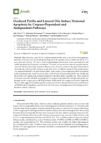 Oxidized Perilla and Linseed Oils Induce Neuronal Apoptosis by Caspase-Dependent and -Independent Pathways