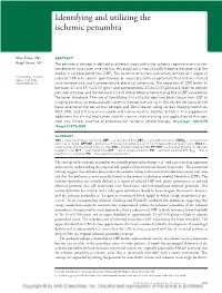 Identifying and Utilizing the Ischemic Penumbra