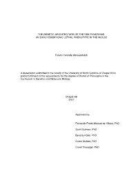 THE GENETIC ARCHITECTURE of the DDK SYNDROME: an EARLY EMBRYONIC LETHAL PHENOTYPE in the MOUSE Folami Yetunde Ideraabdullah a Di