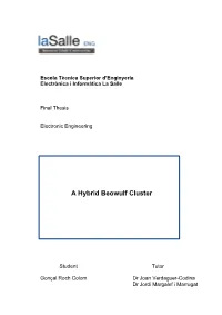 A Hybrid Beowulf Cluster