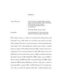 ABSTRACT Title of Document: the FUNCTION of MRN (MRE11-RAD50- NBS1) COMPLEX DURING WRN (WERNER) FACILITATED ATM (ATAXIA- TELANGI