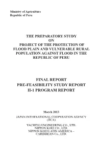 Final Report Pre-Feasibility Study Report Ii-1 Program Report
