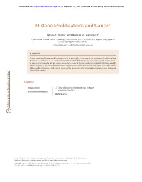 Histone Modifications and Cancer