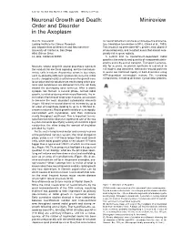 Neuronal Growth and Death: Minireview Order and Disorder in the Axoplasm