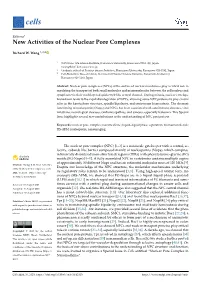 New Activities of the Nuclear Pore Complexes