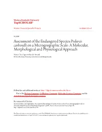 Assessment of the Endangered Species &lt;I