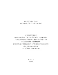 Exotic Particles in Topological Insulators
