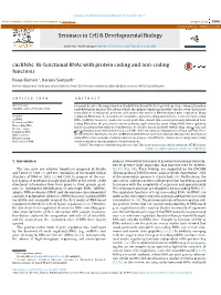 Bi-Functional Rnas with Protein Coding and Non-Coding Functions