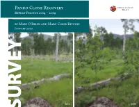 Pando Clone Recovery Repeat Photos 2014 – 2019 by Mary O'brien and Marc Coles-Ritchie January 2020