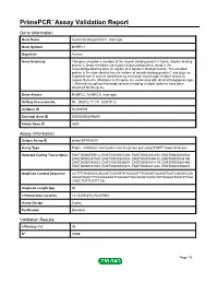 Primepcr™Assay Validation Report
