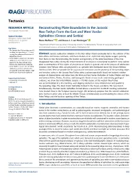 Reconstructing Plate Boundaries in The