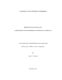 CALIFORNIA STATE UNIVERSITY, NORTHRIDGE REDUPLICATION in KLALLAM: a DESCRIPTION of the MORPHOLOGY-PHONOLOGY INTERFACE a Thesis S