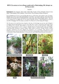 HFNC Excursion to Serra Range South Trail to Mud-Dadjug (Mt Abrupt) on 20 March 2021