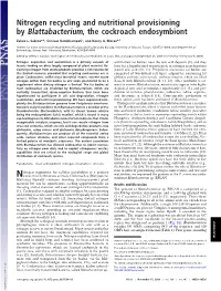 Nitrogen Recycling and Nutritional Provisioning by Blattabacterium, the Cockroach Endosymbiont