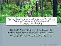 Spore Reproduction of Japanese Climbing Fern in Florida As a Function of Management Timing