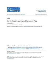 Twig, Branch, and Stem Diseases of Pine John R