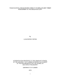 University of Florida Thesis Or Dissertation Formatting