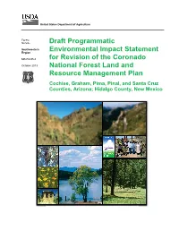 Draft Programmatic Environmental Impact Statement for Revision of the Coronado National Forest Land and Resource Management Plan