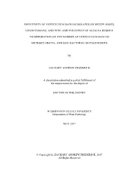 Infectivity of Verticillium Dahliae Isolates on Weedy Hosts