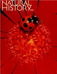 AMNH Digital Library