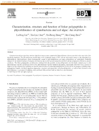 Characterization, Structure and Function of Linker Polypeptides in Phycobilisomes of Cyanobacteria and Red Algae: an Overview