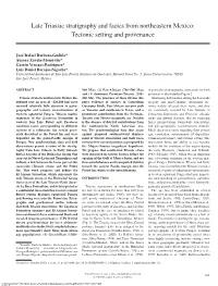 Late Triassic Stratigraphy and Facies from Northeastern Mexico: Tectonic Setting and Provenance