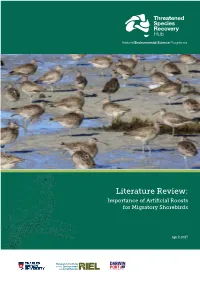 Literature Review: Importance of Artificial Roosts for Migratory Shorebirds