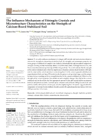 The Influence Mechanism of Ettringite Crystals and Microstructure