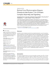 Retinal Cone Photoreceptors Require Phosducin-Like Protein 1 for G Protein Complex Assembly and Signaling