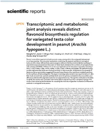 Transcriptomic and Metabolomic Joint Analysis Reveals Distinct Flavonoid Biosynthesis Regulation for Variegated Testa Color Deve