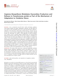 Arginine Biosynthesis Modulates Pyoverdine Production and Release in Pseudomonas Putida As Part of the Mechanism of Adaptation to Oxidative Stress