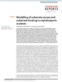 Modelling of Substrate Access and Substrate Binding to Cephalosporin Acylases