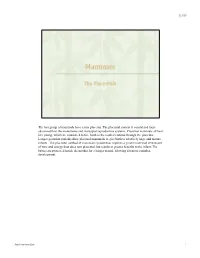 The Last Group of Mammals Have a True Placenta. the Placental System Is Considered More Advanced Than the Monotreme and Marsupial Reproductive Systems