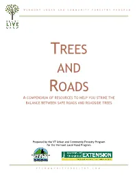 Trees and Roads a Compendium of Resources to Help You Strike the Balance Between Safe Roads and Roadside Trees