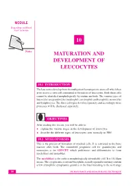 10 Maturation and Development of Leucocytes