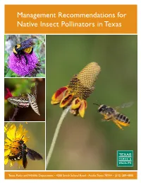 Management Recommendations for Native Insect Pollinators in Texas