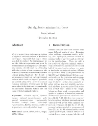 On Algebraic Minimal Surfaces