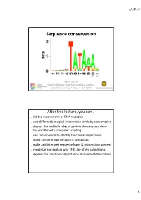 Sequence Conservation