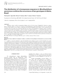 The Distribution of a Transposase Sequence in Moniliophthora Perniciosa Confirms the Occurrence of Two Genotypes in Bahia, Brazil