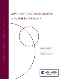 Adapting to Climate Change: a Business Approach