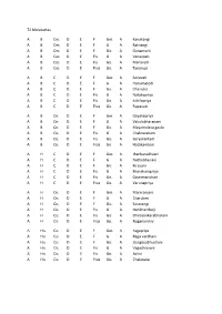 Zwei Skalensysteme.Pdf