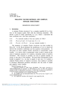 Negative Vector Bundles and Complex Finsler Structures