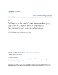 Differences in Bacterial Communities on Decaying Leaf Litter Of