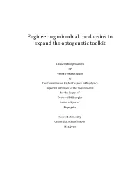 Engineering Microbial Rhodopsins to Expand the Optogenetic Toolkit