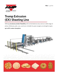 (EX) Sheeting Line