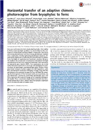 Horizontal Transfer of an Adaptive Chimeric Photoreceptor from Bryophytes to Ferns